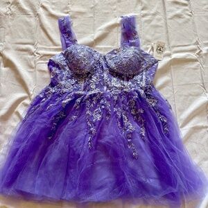 Plus Sized Purple HOCO Dress (18W)